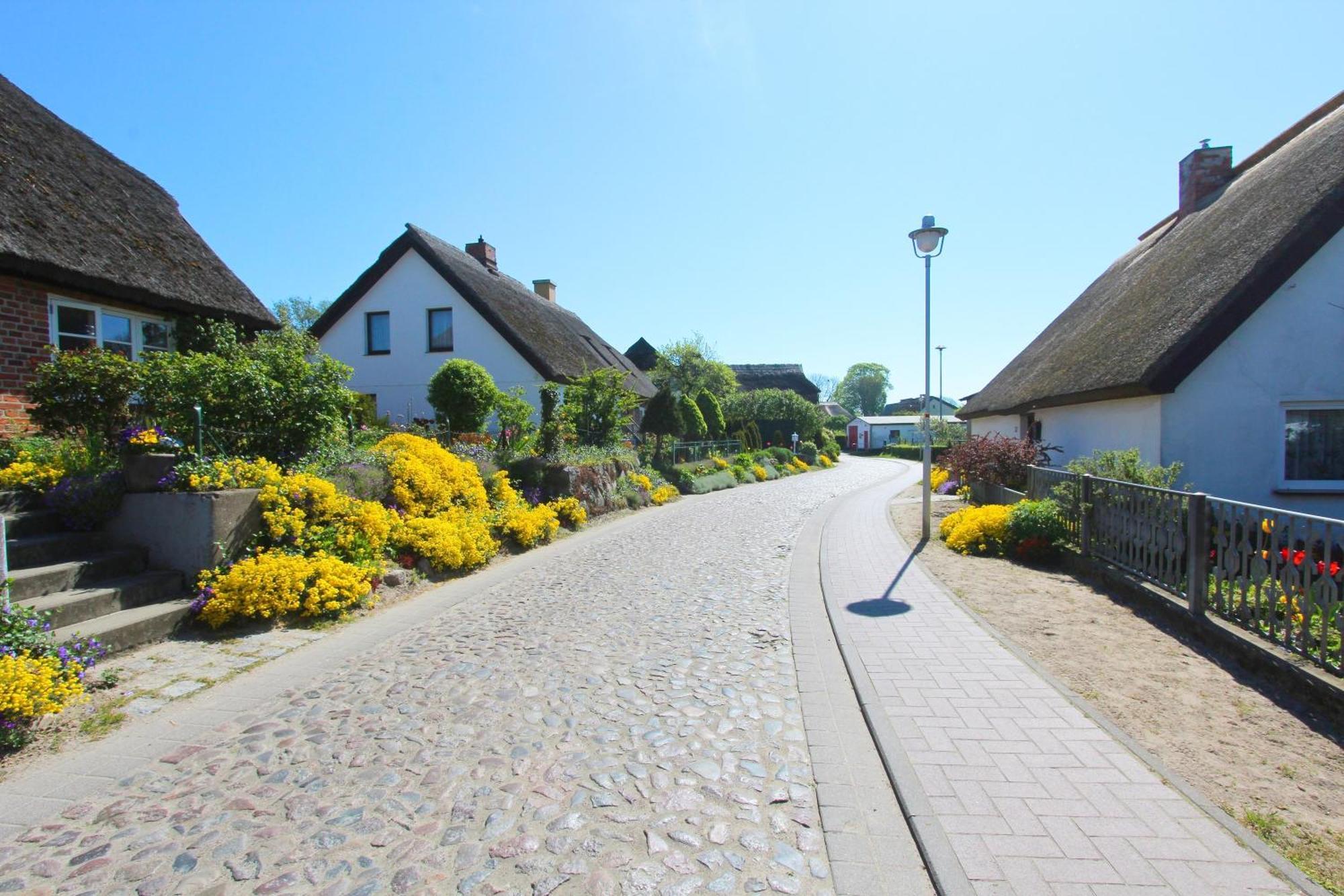 Ferienhaus Distelfink Fewo 04 Terrasse, Meerblick Groß Zicker Extérieur photo